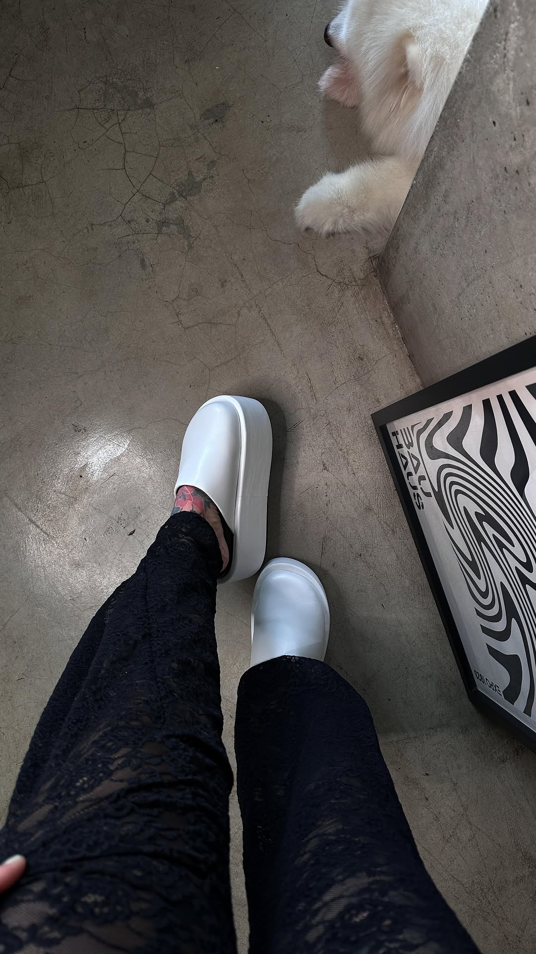 MUSEO (SOBRE PEDIDO)