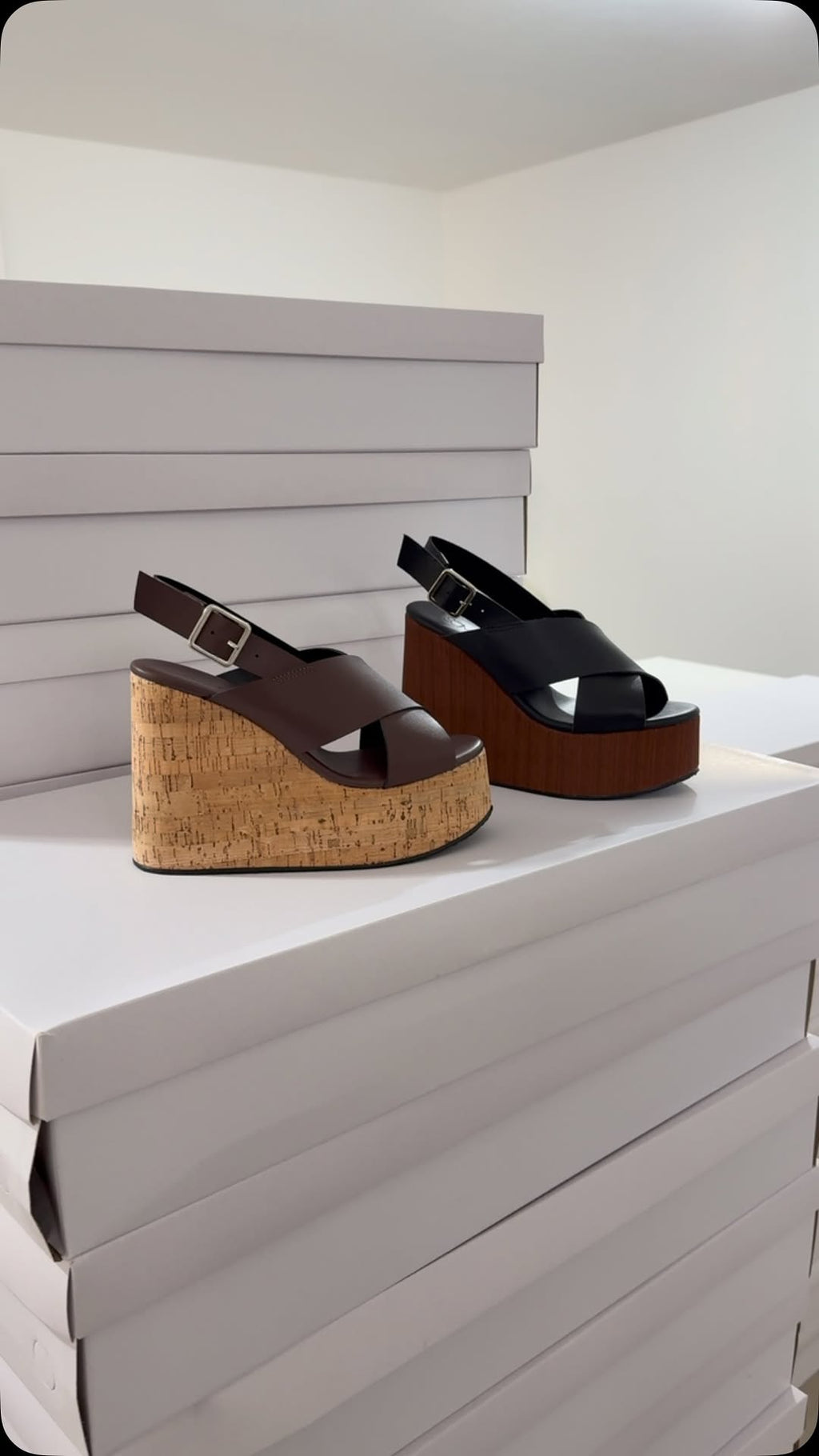 MONARCA x NEGRO (sobre pedido)